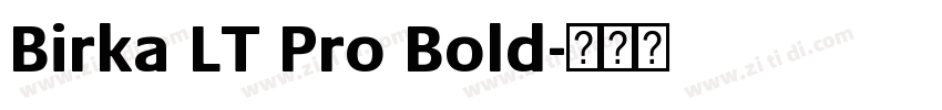 Birka LT Pro Bold字体转换